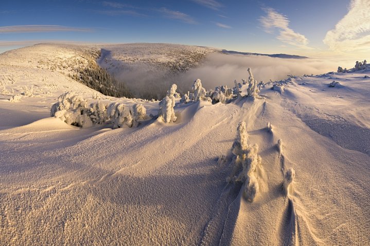 České hory - Czech mountains - Krajina // Landscape - Jakub Müller